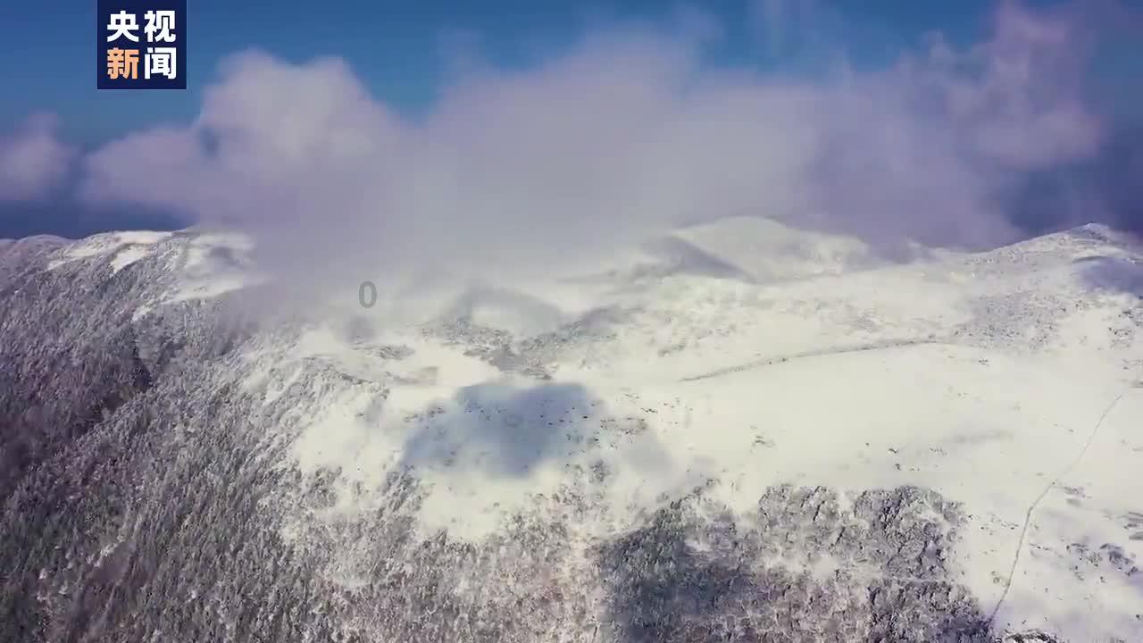 骑马与砍杀